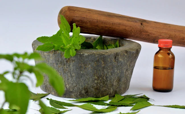 Brahmi: The Ayurvedic Miracle And A Gift To Humanity