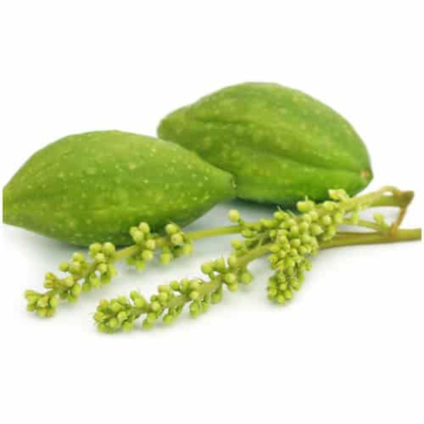 Namhya Haritaki or Harad (100g X 2) - for Good Immunity and Digestion (Pack of 2)
