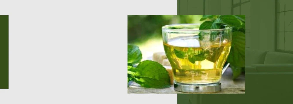 Green Tea – Namhya Ayurveda