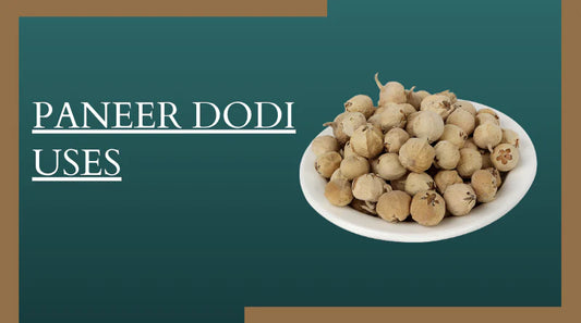 Top 9 Paneer Dodi Uses You Must Know About