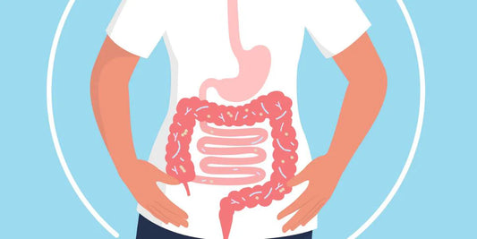 Improve Gut Health: A Road To Digestive Well Being