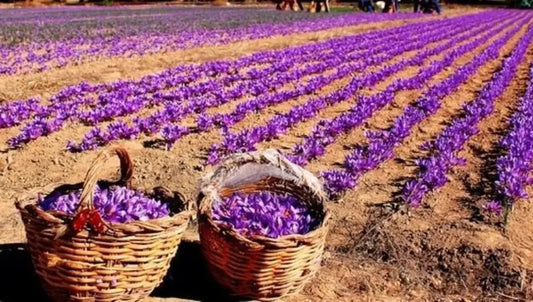 Saffron Benefits In Ayurveda