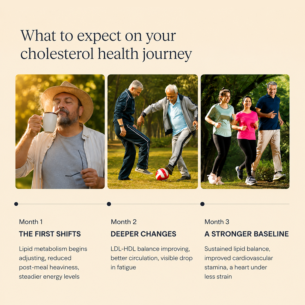 Namhya Cholesterol Care Tea | Ayurvedic Herbal Tea for Heart Health & Cholesterol Balance