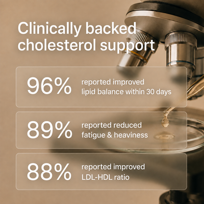 Namhya Cholesterol Care Tea | Ayurvedic Herbal Tea for Heart Health & Cholesterol Balance