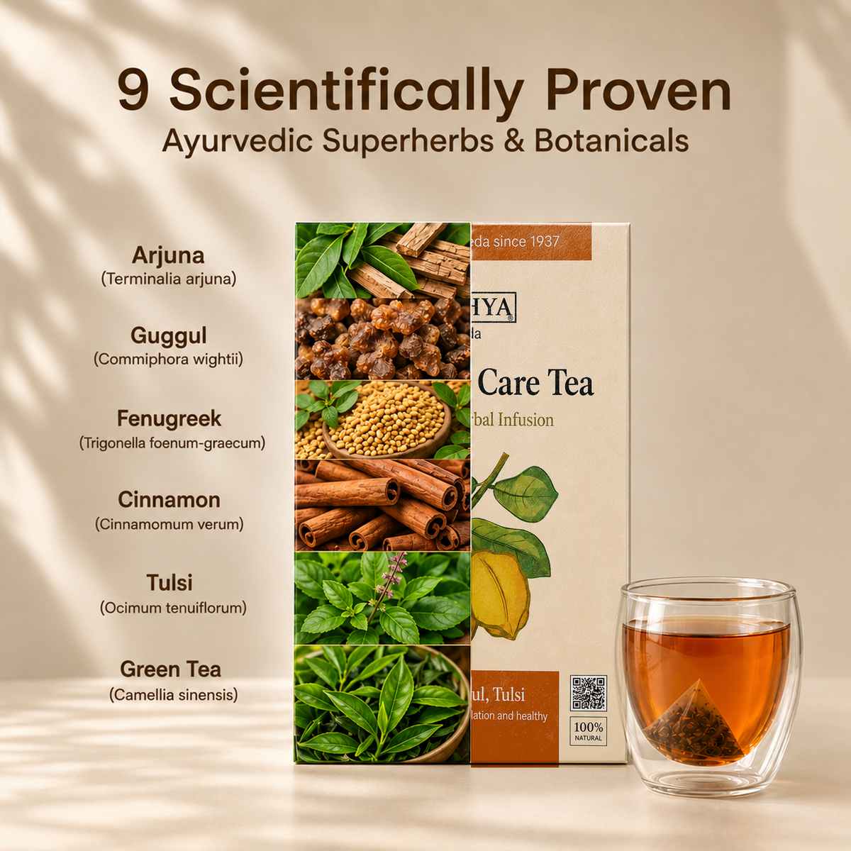 Namhya Cholesterol Care Tea | Ayurvedic Herbal Tea for Heart Health & Cholesterol Balance