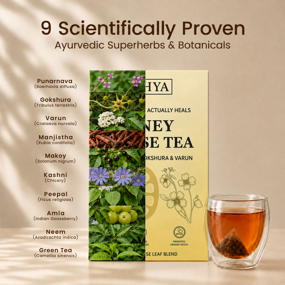 Namhya Kidney Cleanse Tea | 28-Day Ayurvedic Blend for Kidney Detox, Stone Shield & Water-Weight Relief | Sip – Flush – Renew - Ingredient List