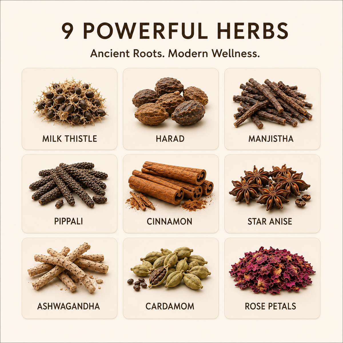 Liver Cleanse Tea+ |  Milk Thistle & Ayurvedic Superherbs for Cholesterol & Fatty Liver | Ayurveda + Science - Ingredient List